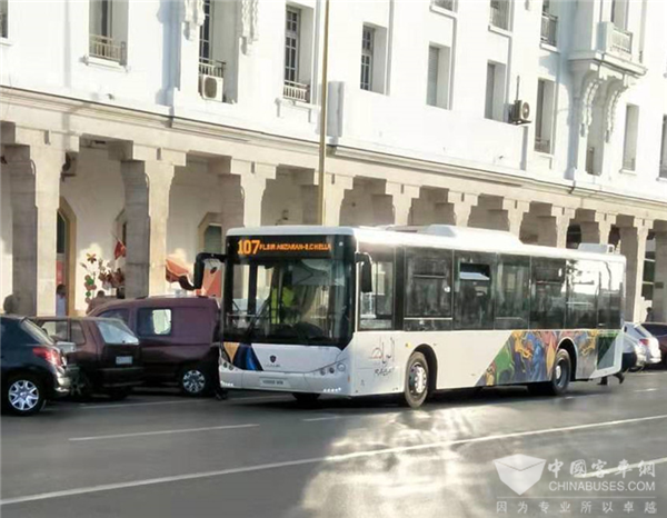 世界杯赛场：摩洛哥球迷乘苏州金龙客车看球队以弱胜强