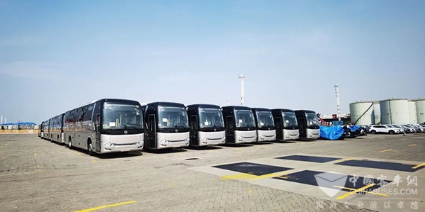 金旅客车 豪华大巴 高端公交车 以色列经销商