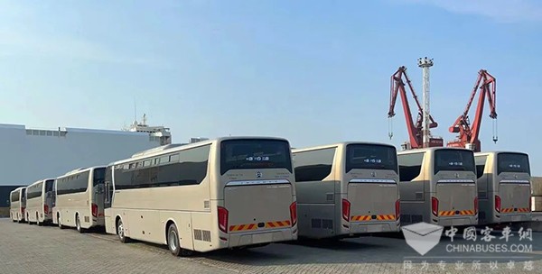 金旅客车 豪华大巴 高端公交车 以色列经销商