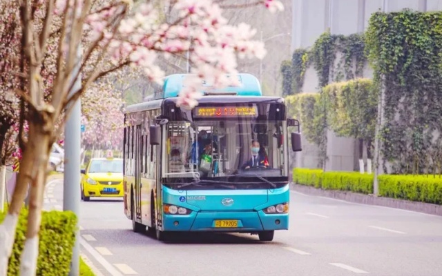 城市公交行业驾驶员心理健康调查及对策建议