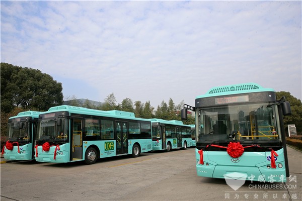 苏州金龙百亿答卷：2024年出口额同比增26%!新能源车型大放异彩