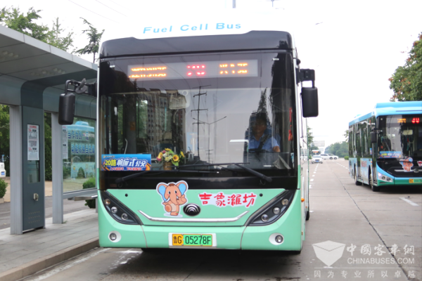 来看小象全城巡游！1600辆公交车变身流动文化风景线 