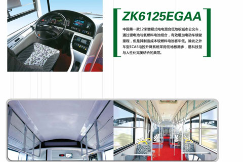 宇通客车ZK6125EGAA