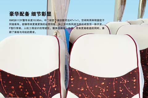 金龙客车XMQ6113Y