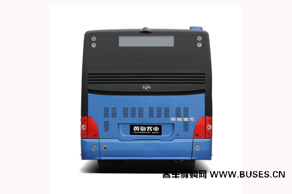 黄海DD6129CHEV5N公交车（天然气/电混动国五24-37座）