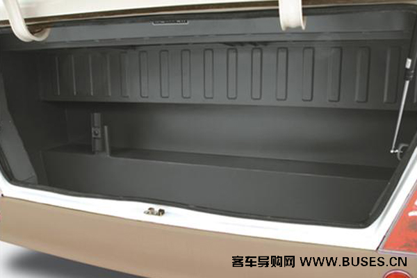 少林SLG6601T5E客车（天然气国五10-19座）