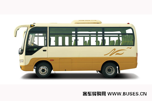 少林SLG6600T5F客车（天然气国五10-19座）