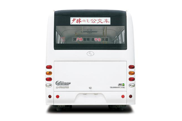 少林SLG6600T5GF公交车（天然气国五10-19座）