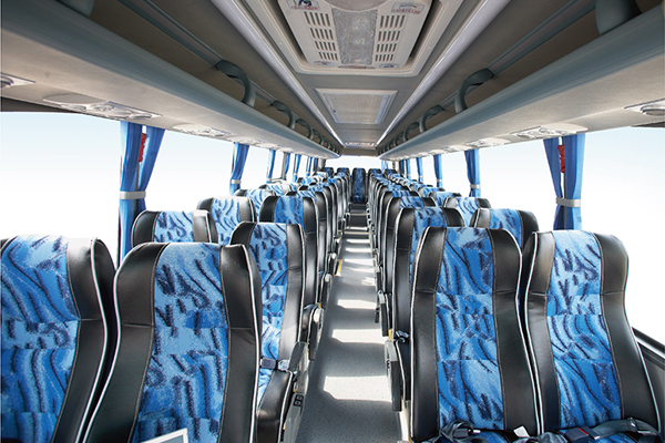 申龙SLK6118L5AN5客车（天然气国五24-52座）