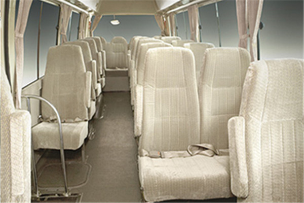 安凯HFF6700KQE4FB客车（汽油国四10-23座）