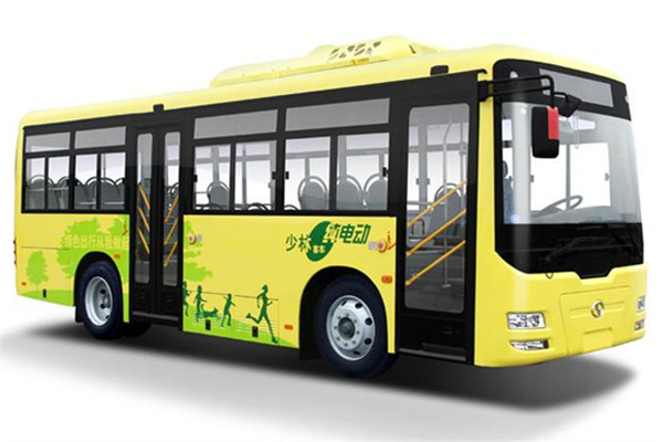 少林SLG6822EVG公交车（纯电动10-31座）