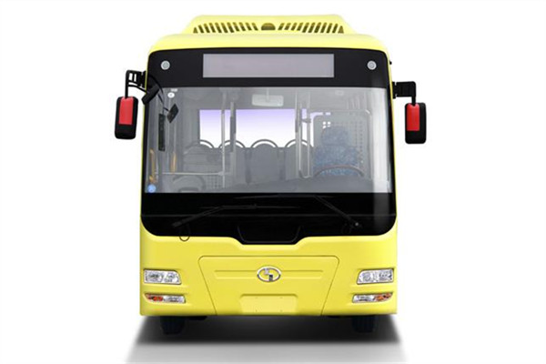 少林SLG6822EVG公交车（纯电动10-31座）