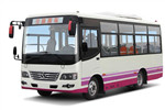少林SLG6668C5GE公交车（柴油国五10-25座）