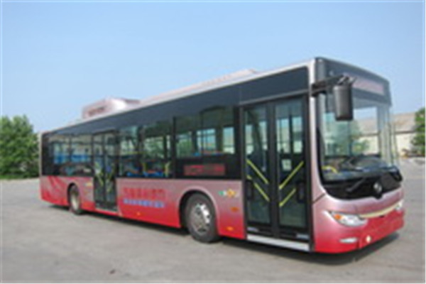 黄海DD6129CHEV6N公交车（LNG/电混动国五18-42座）