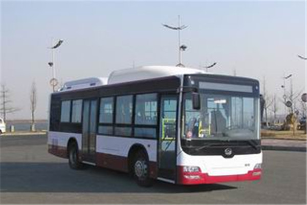 黄海DD6109B23N公交车（天然气国五18-39座）