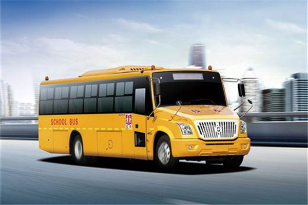 亚星JS6900XCP2中小学生专用校车（柴油国五24-42座）