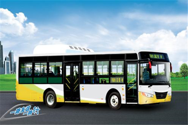 友谊ZGT6109NV公交车（天然气国五15-41座）