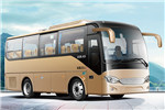 安凯HFF6781KDE5B客车（柴油国五24-32座）