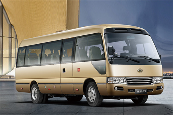 安凯HFF6606KDE5FB客车（柴油国五10-19座）