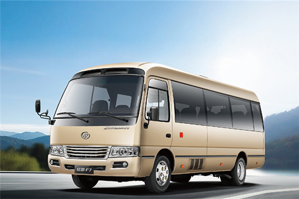 安凯HFF6606KDE5FB客车（柴油国五10-19座）