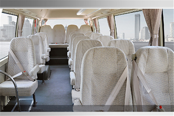 安凯HFF6606KDE5FB客车（柴油国五10-19座）