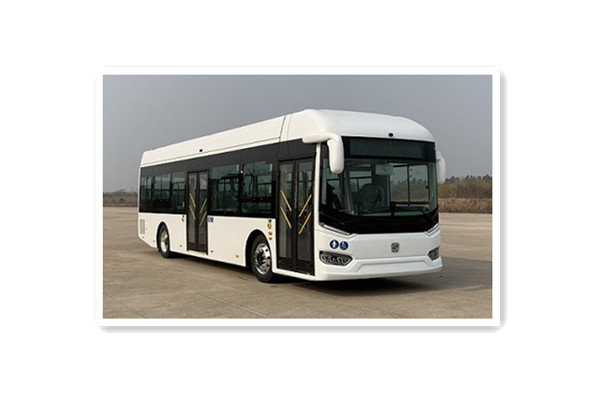 申沃SWB6109BEV67G低地板公交车（纯电动20-38座）