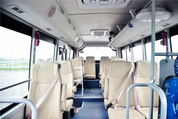 南京金龙NJL6600YFV轻客（汽油国四10-18座）
