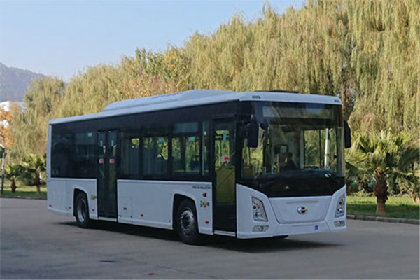五龙FDE6101PBABEV01低入口公交车（纯电动17-36座）