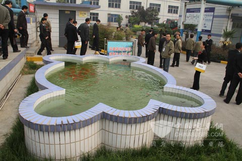 风神轮胎工厂内用净化水养鱼